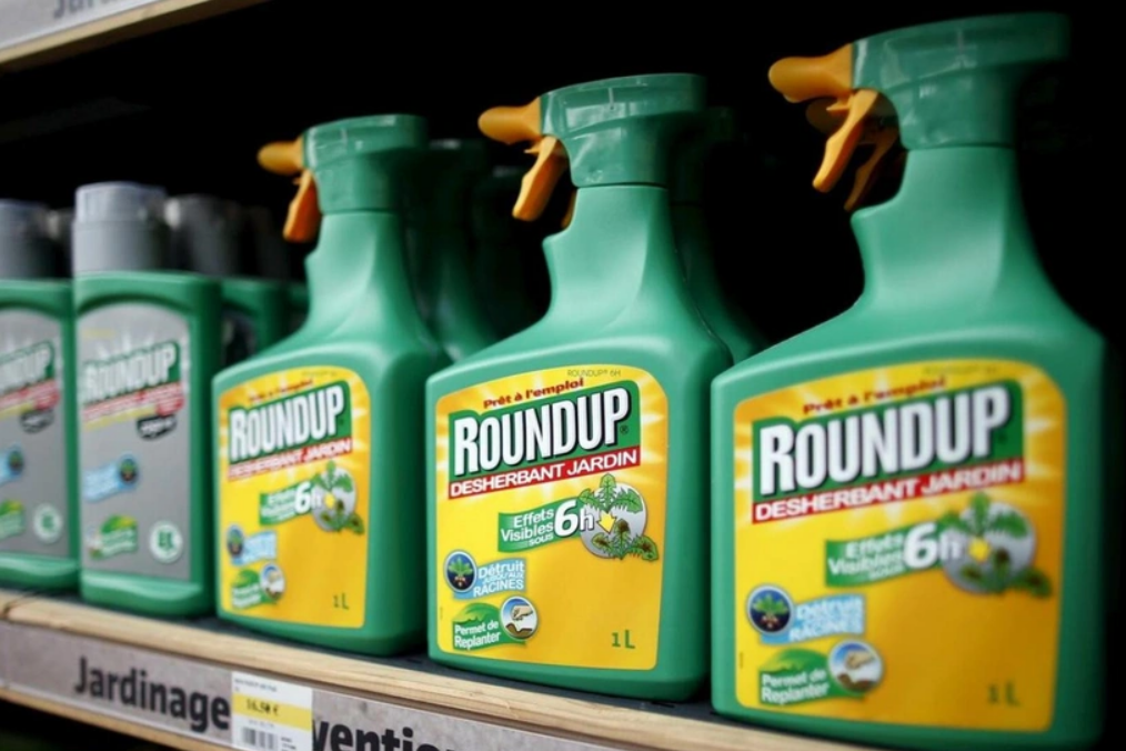 Dünyada yasaklanan Roundup Tarım İlacı Türkiye'de kullanılmaya devam ediliyor: Kanser saçıyor!