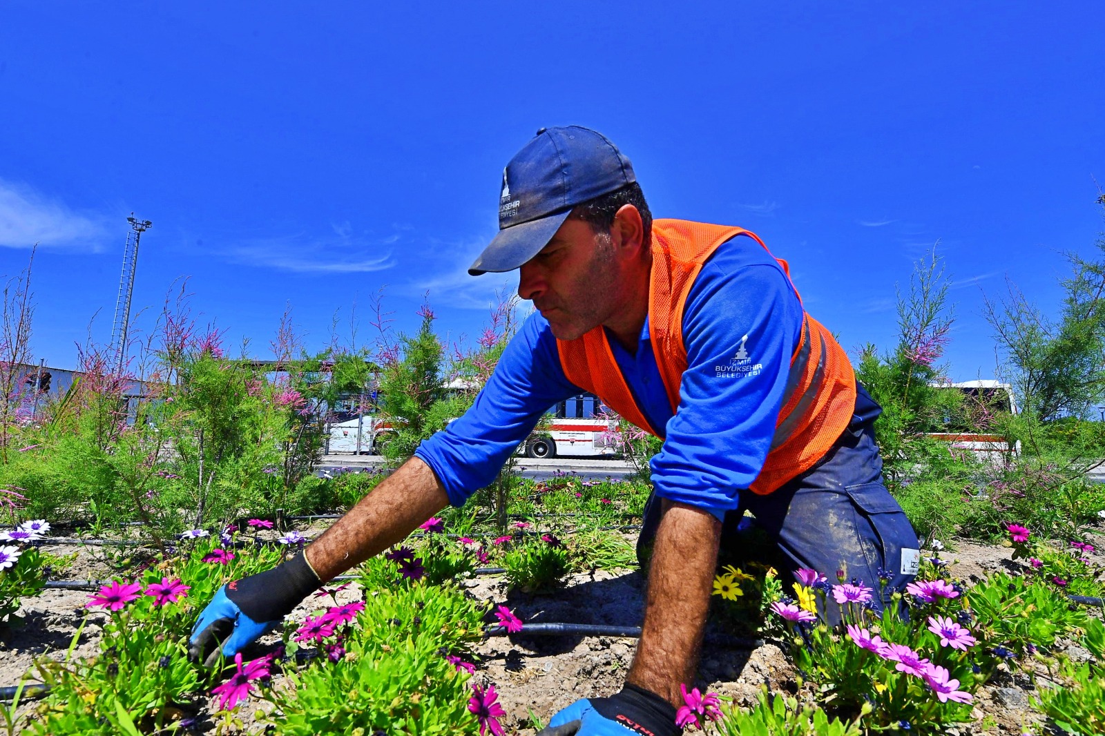 İzmir'de kentin cadde ve meydanları çiçek açtı