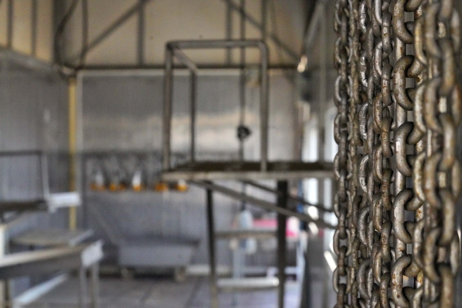 İzmir Kurban Bayramı’na hazır