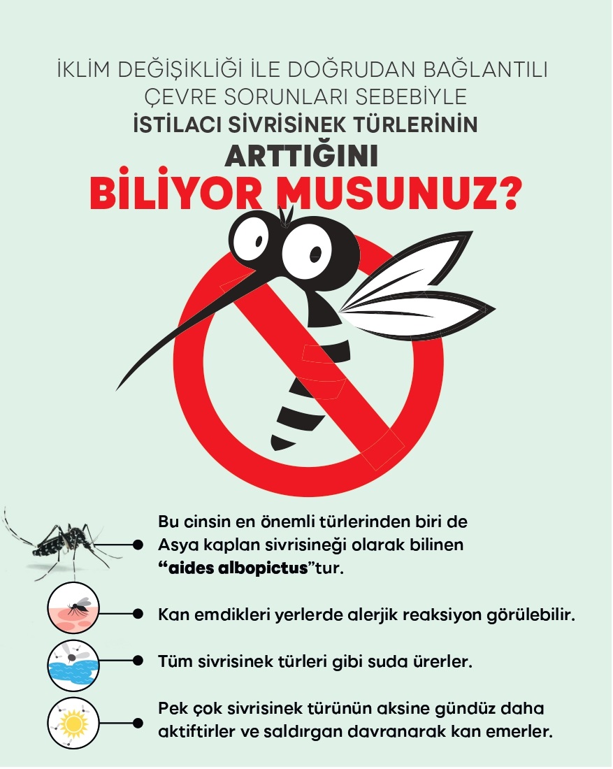 Salih Erkek yazdı...