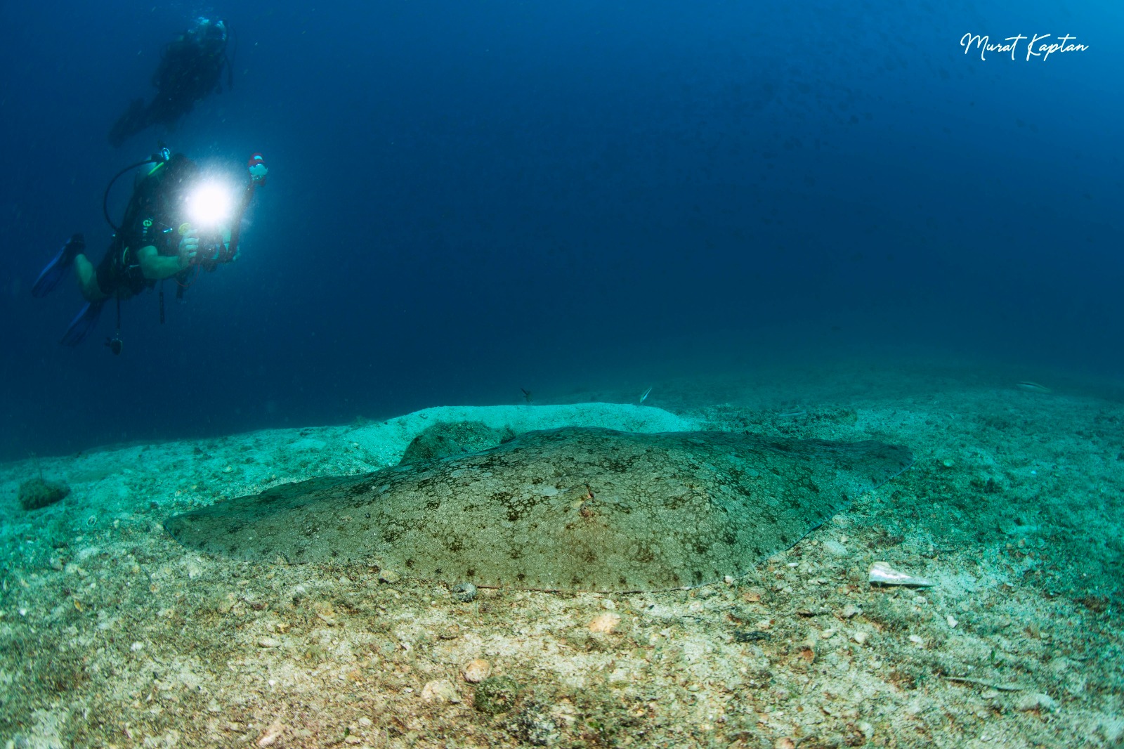 EGE’NİN İKİ YAKASI SUALTINDA BİRLEŞTİ