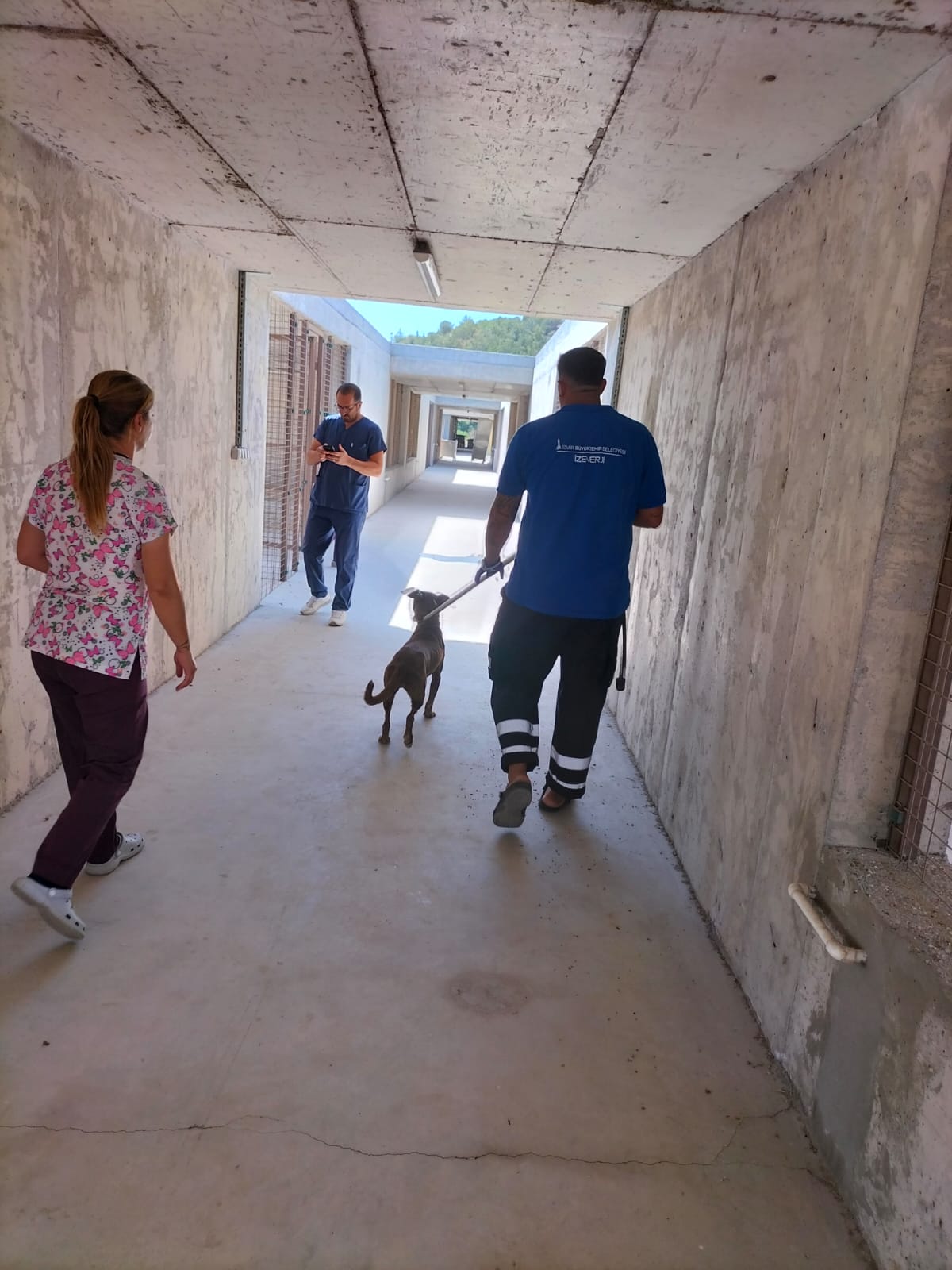 İzmir Büyükşehir Belediyesi’nin tüm birimleri yangında seferber oldu