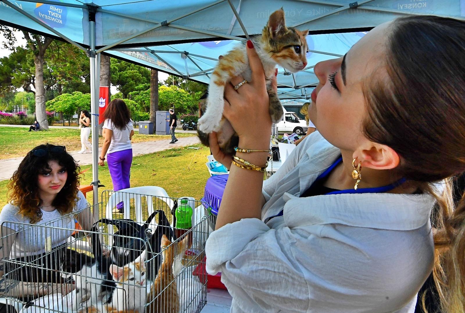 İzmir’de bir yılda 95 bin sahipsiz hayvan kısırlaştırıldı