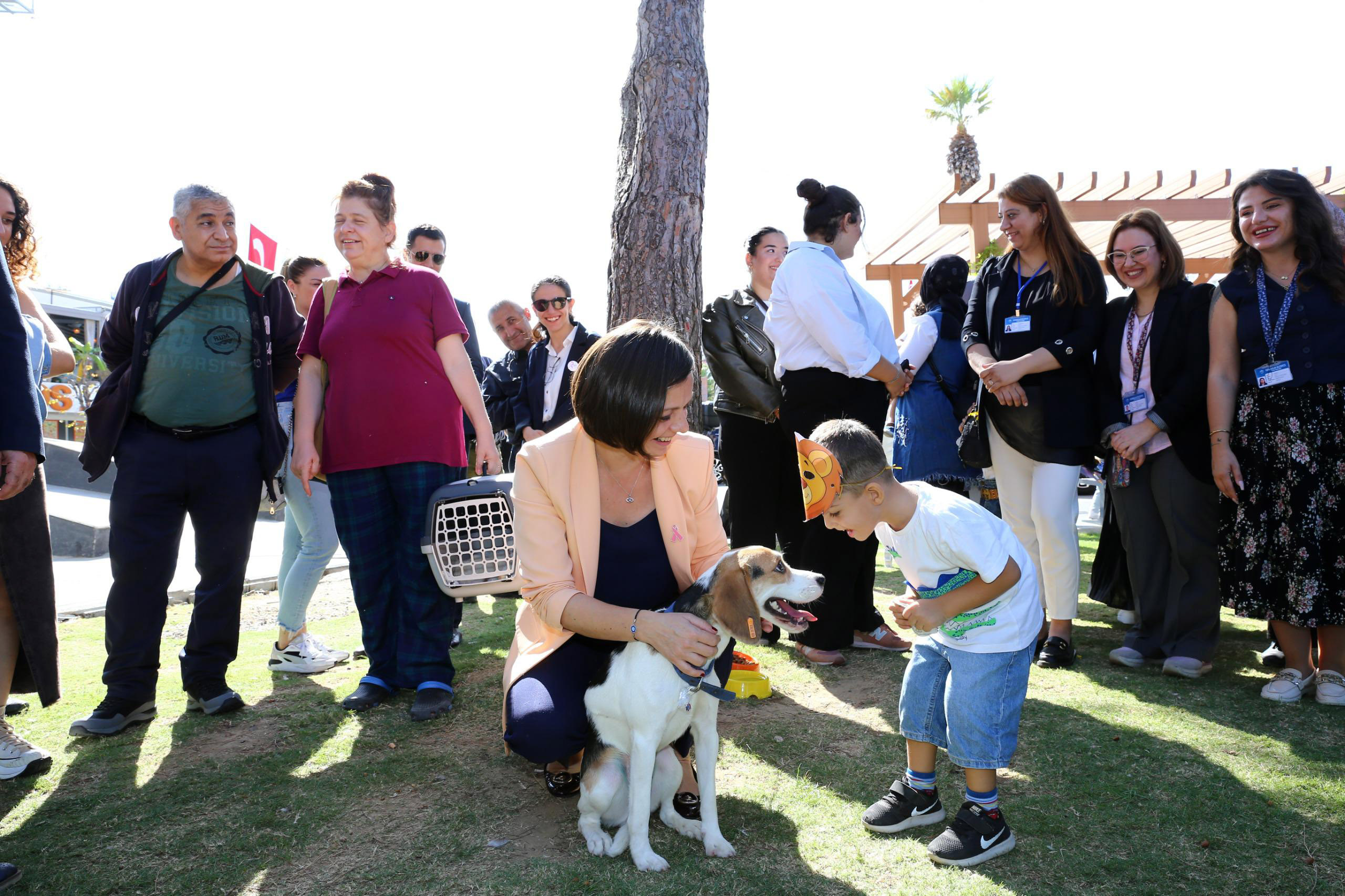 Karabağlar Belediyesi’nden sokak hayvanlarına modern hizmet