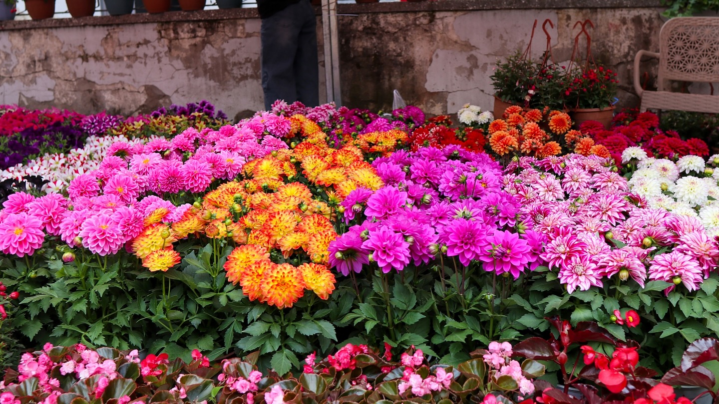 Bayındır 26. Uluslararası Çiçek Festivali’nin ilk Günü Dolu Dolu Geçti