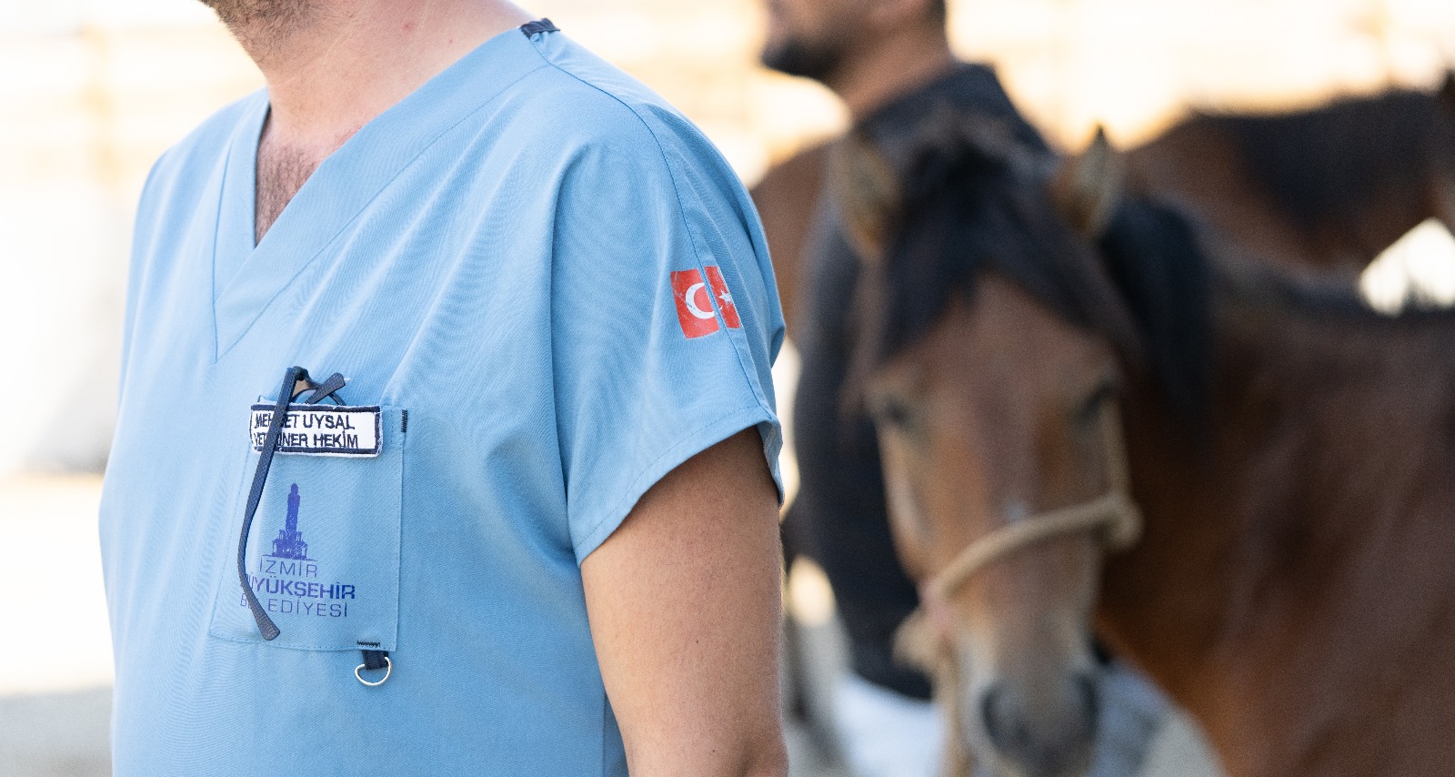 Pako’da bakılan binek hayvanlar sahiplendiriliyor