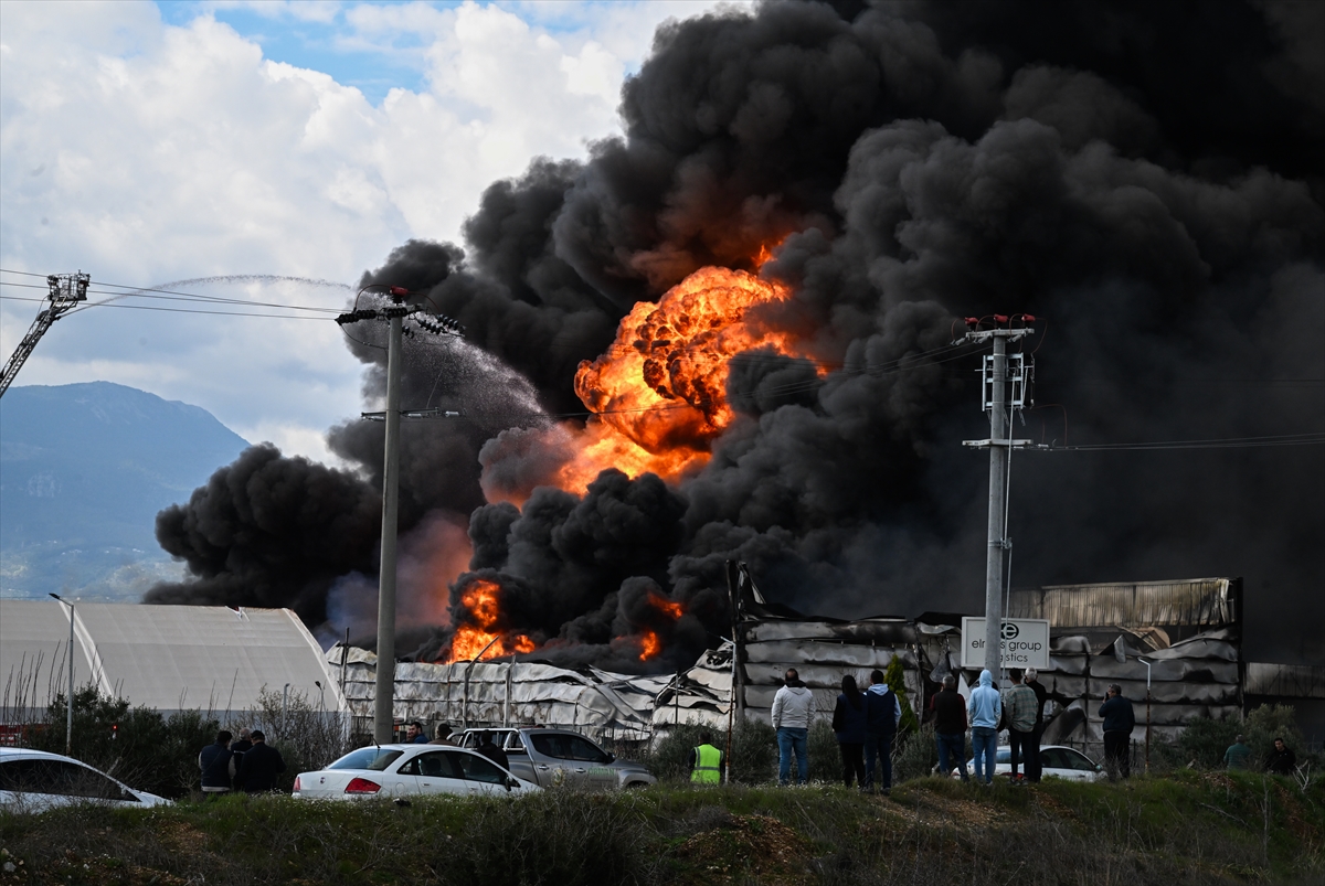 İzmir'de soğuk hava deposunda yangın
