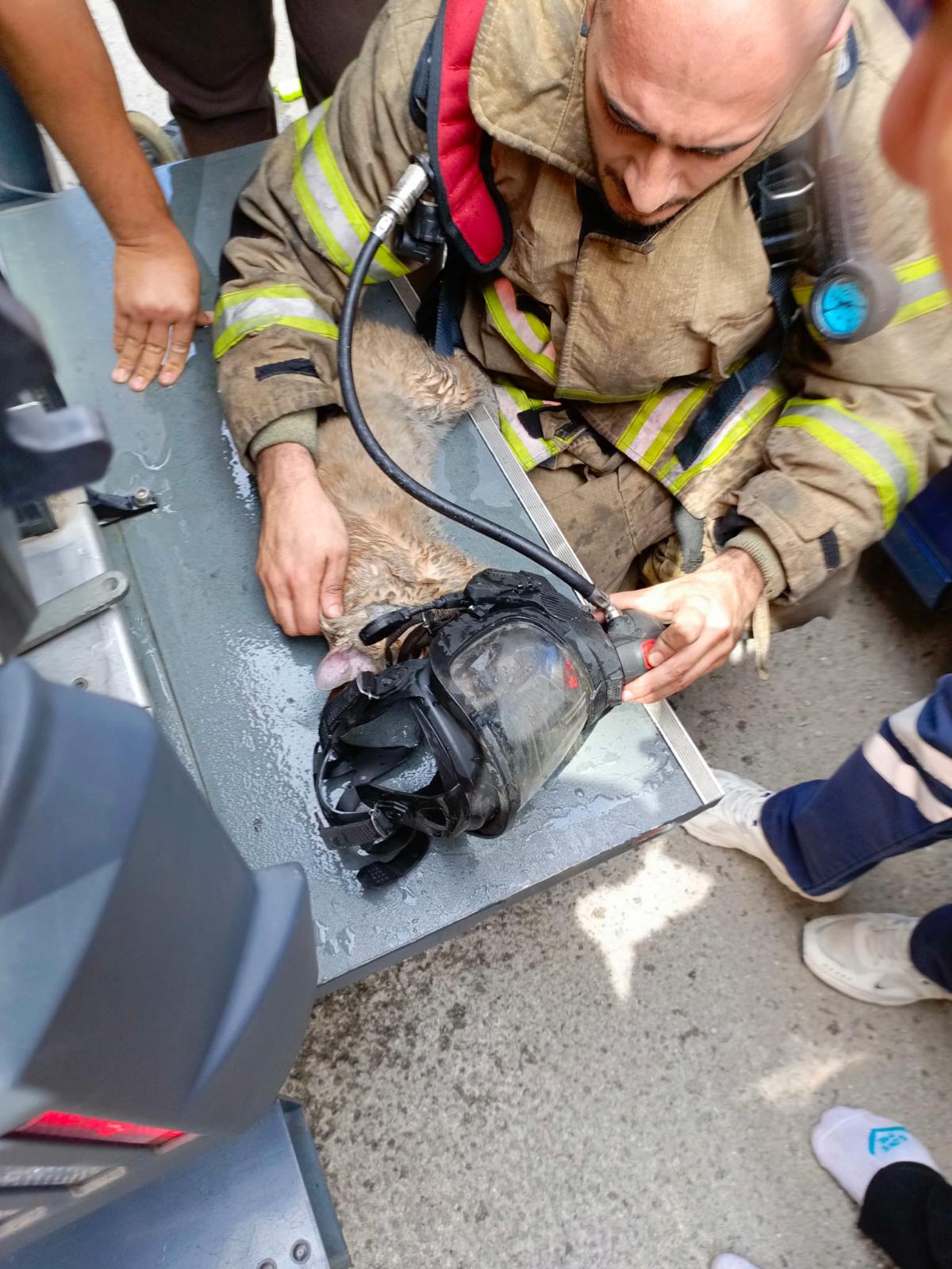 İzmir İtfaiyesinden yürekleri ısıtan kurtarma