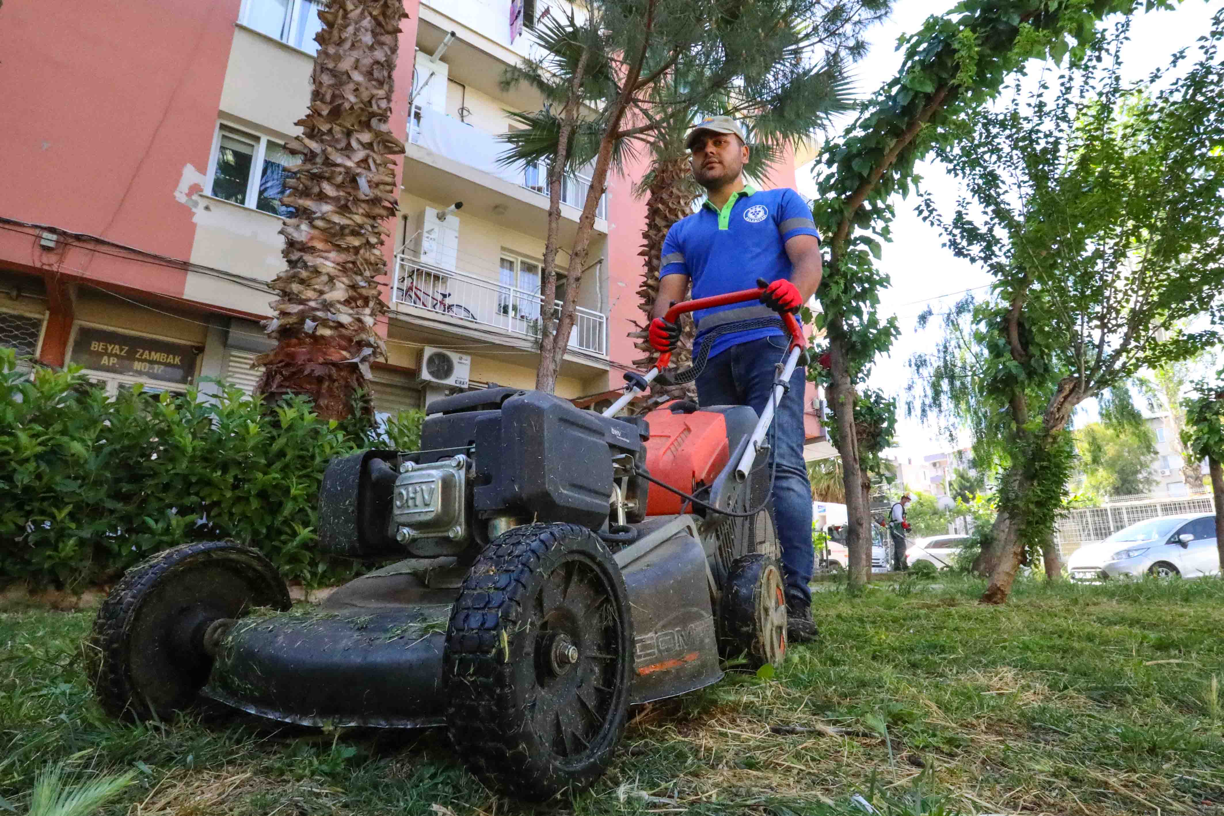 Buca’nın parklarında yaza hazırlık