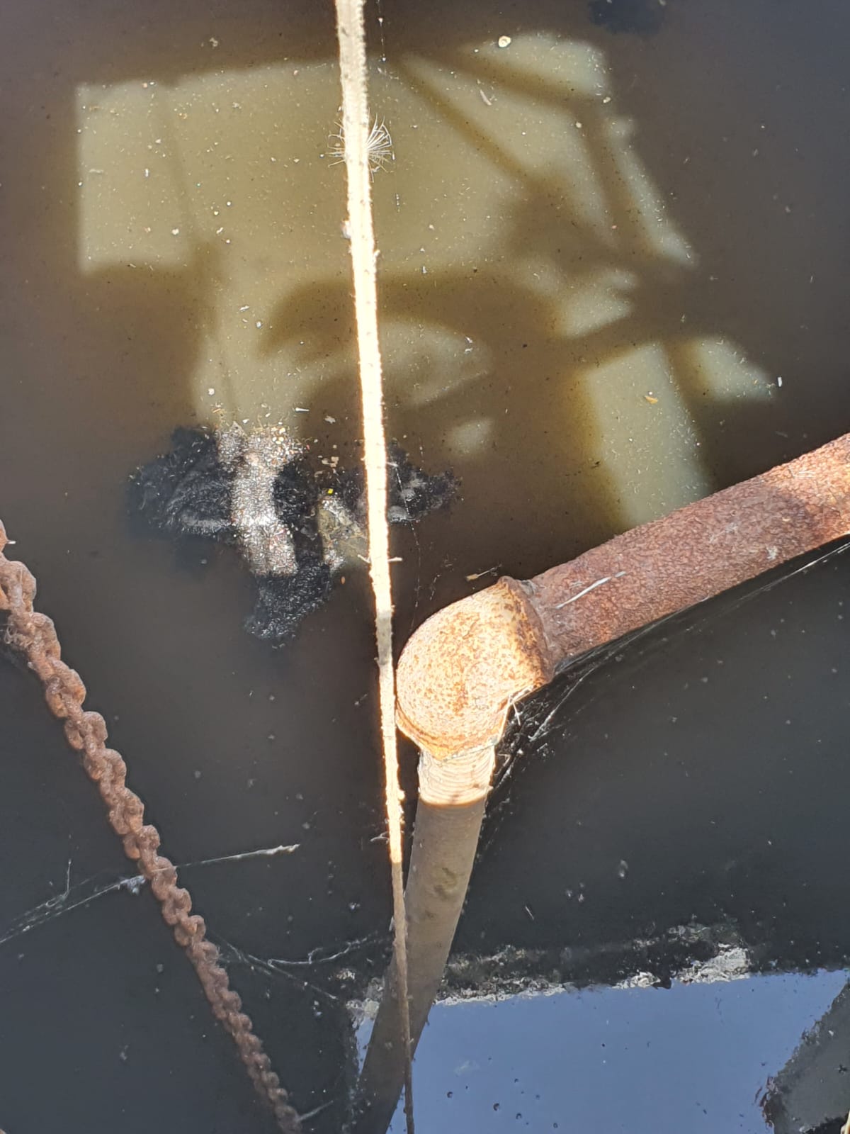 Salih Erkek yazdı...