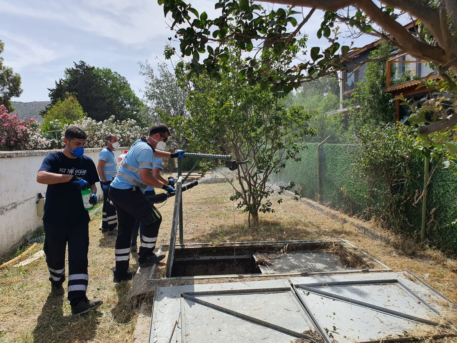 Salih Erkek yazdı...