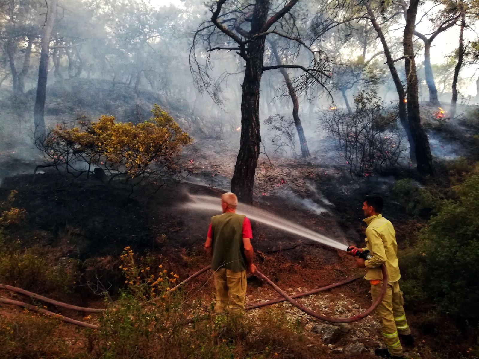 Büyükşehir, orman yangınları için teyakkuza geçti