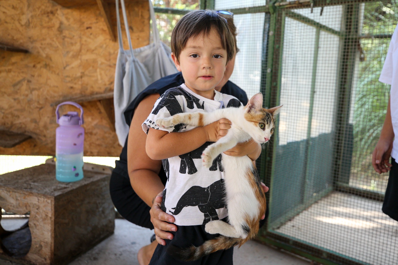 Karşıyaka’da can dostlar yeni yuvalarına kavuştu