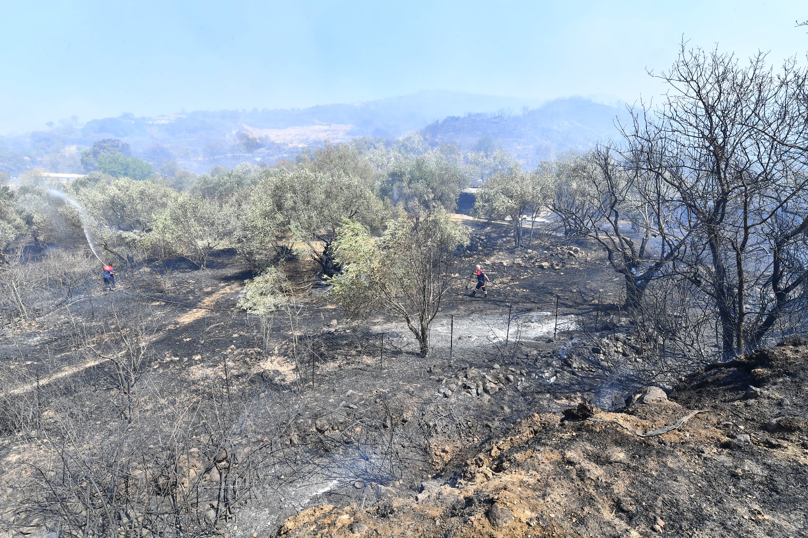 Yamanlar Dağı’nda çıkan yangınla mücadele sürüyor