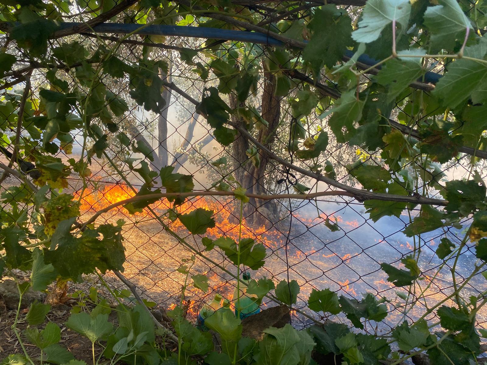 Yamanlar Dağı’nda çıkan yangınla mücadele sürüyor