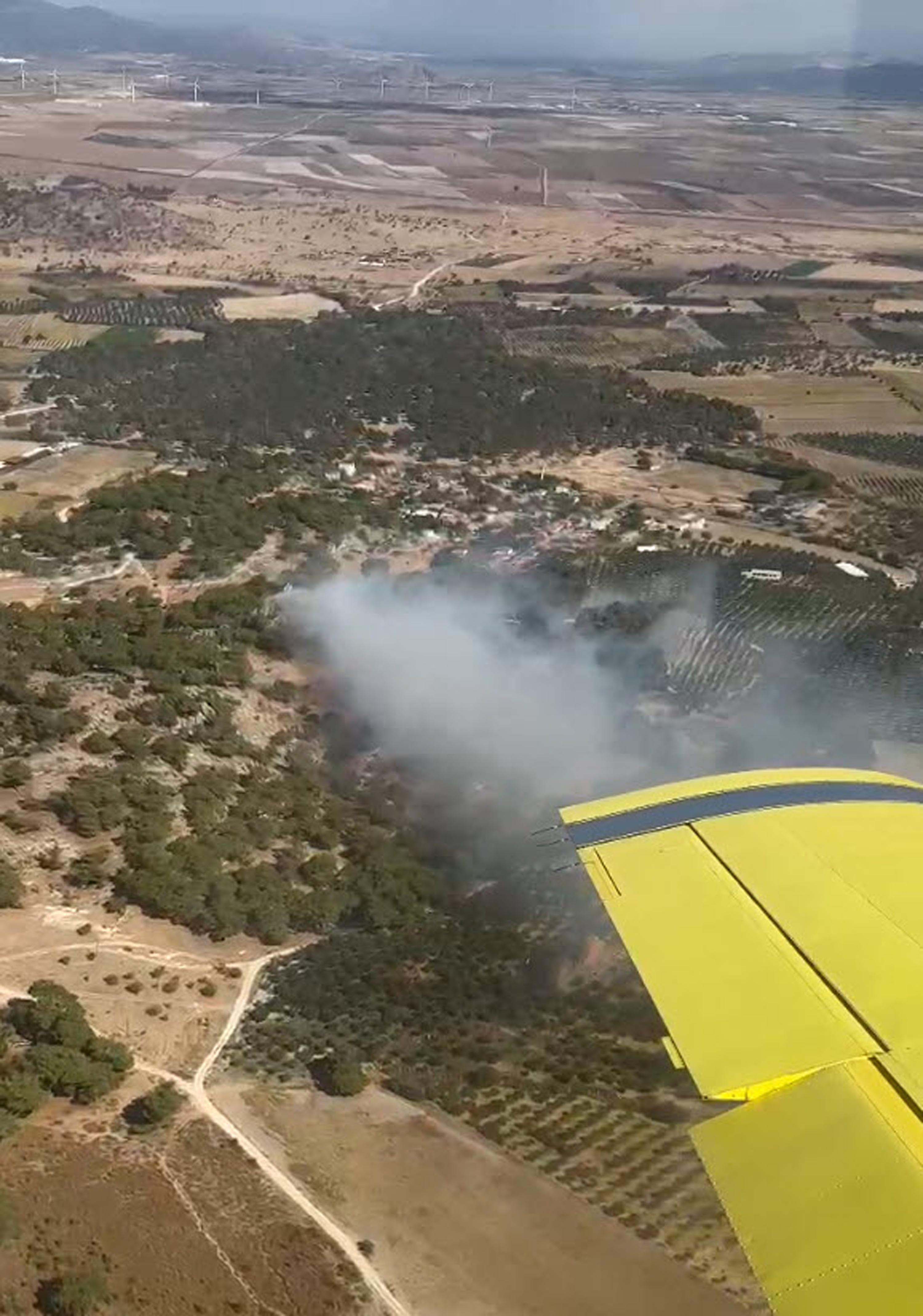 İzmir Dikili’deki orman yangını 3 saatte kontrol altına alındı