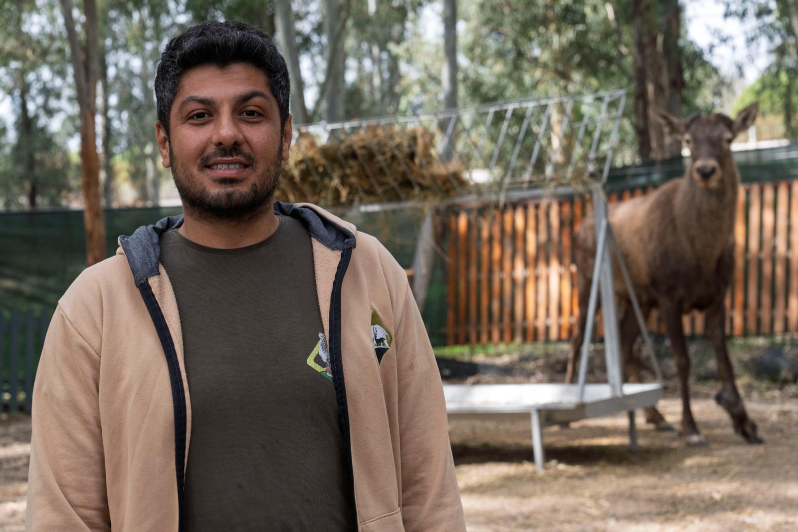 Yaralı olarak fabrikaya sığınan geyik emin ellerde