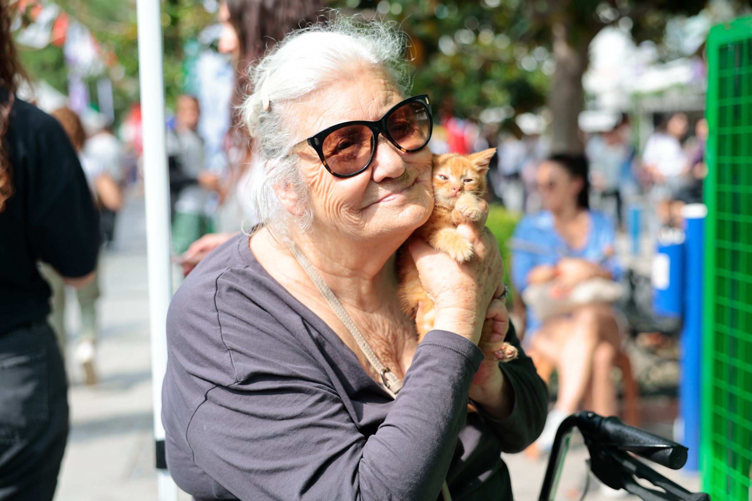 Konak'ta can dostlara özel şenlik: Yeni yuvalarına kavuştular