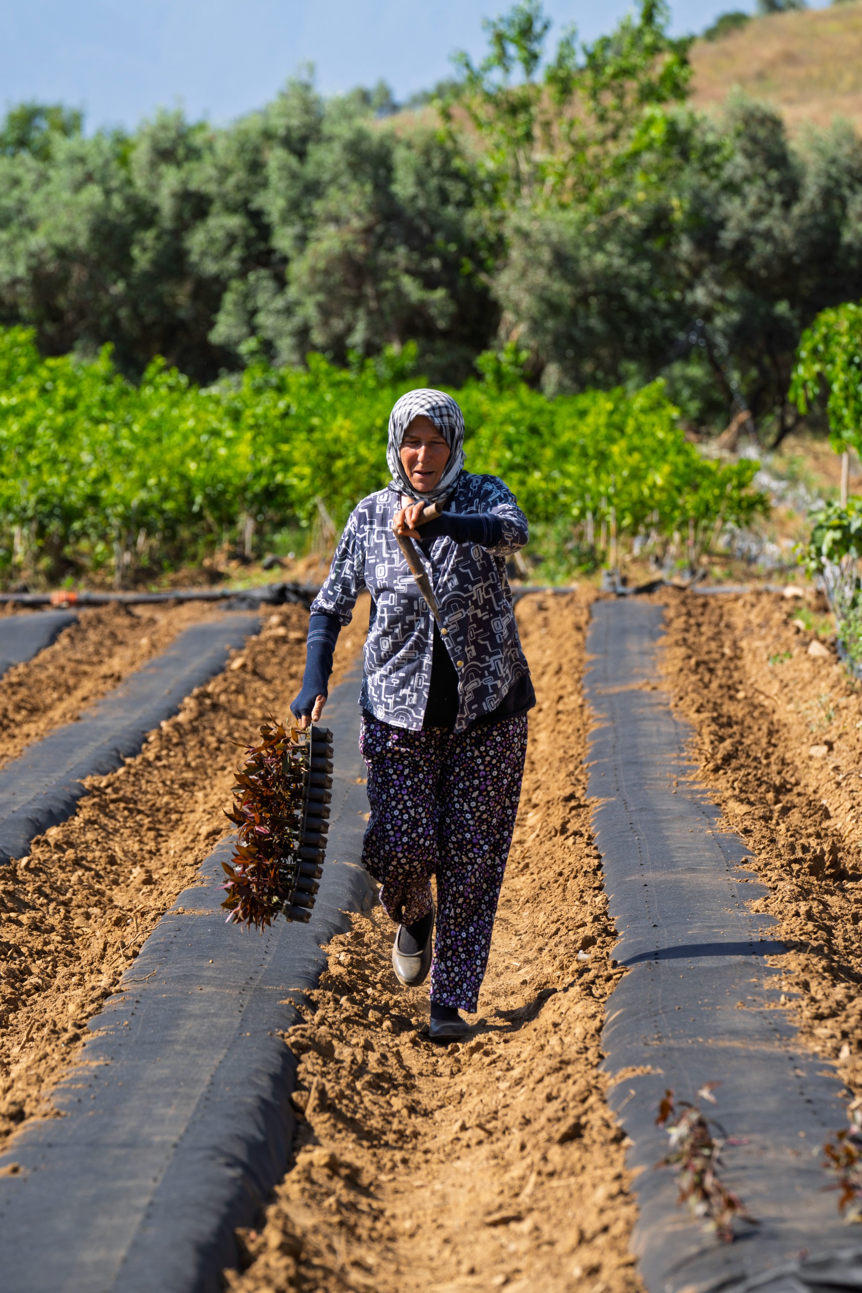 Tiyatro kırsalda filizlendi köy sakinlerinin hayatı değişti