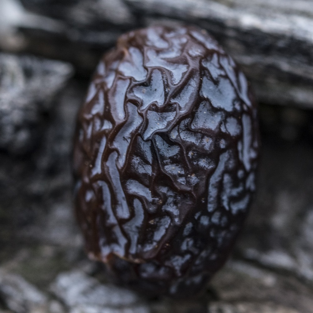 KARABURUN’DA ‘FURMA’ RESMEN MARKA OLDU