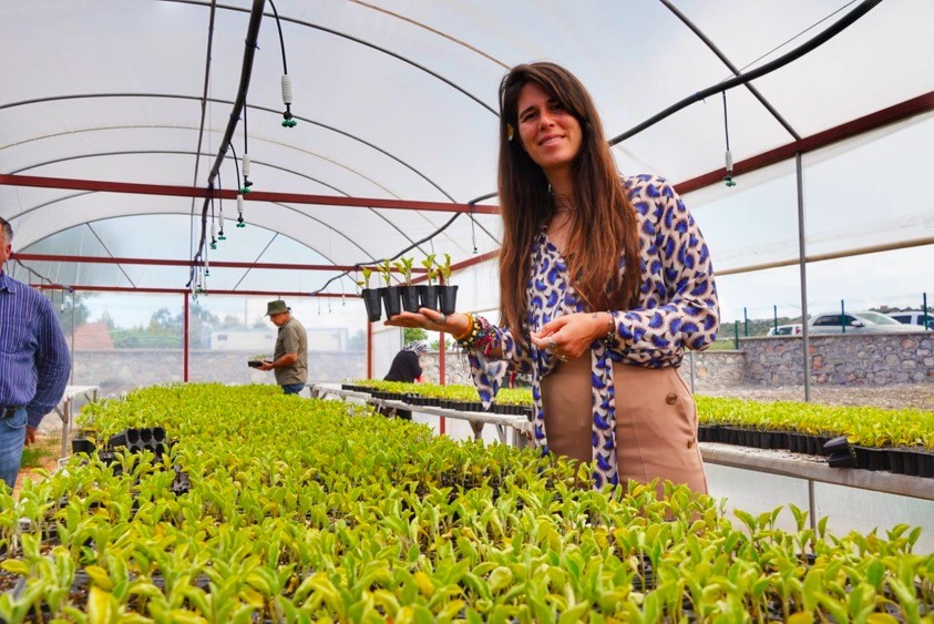 Başkan Denizli üreticilere 50 bin adet fidan dağıttı