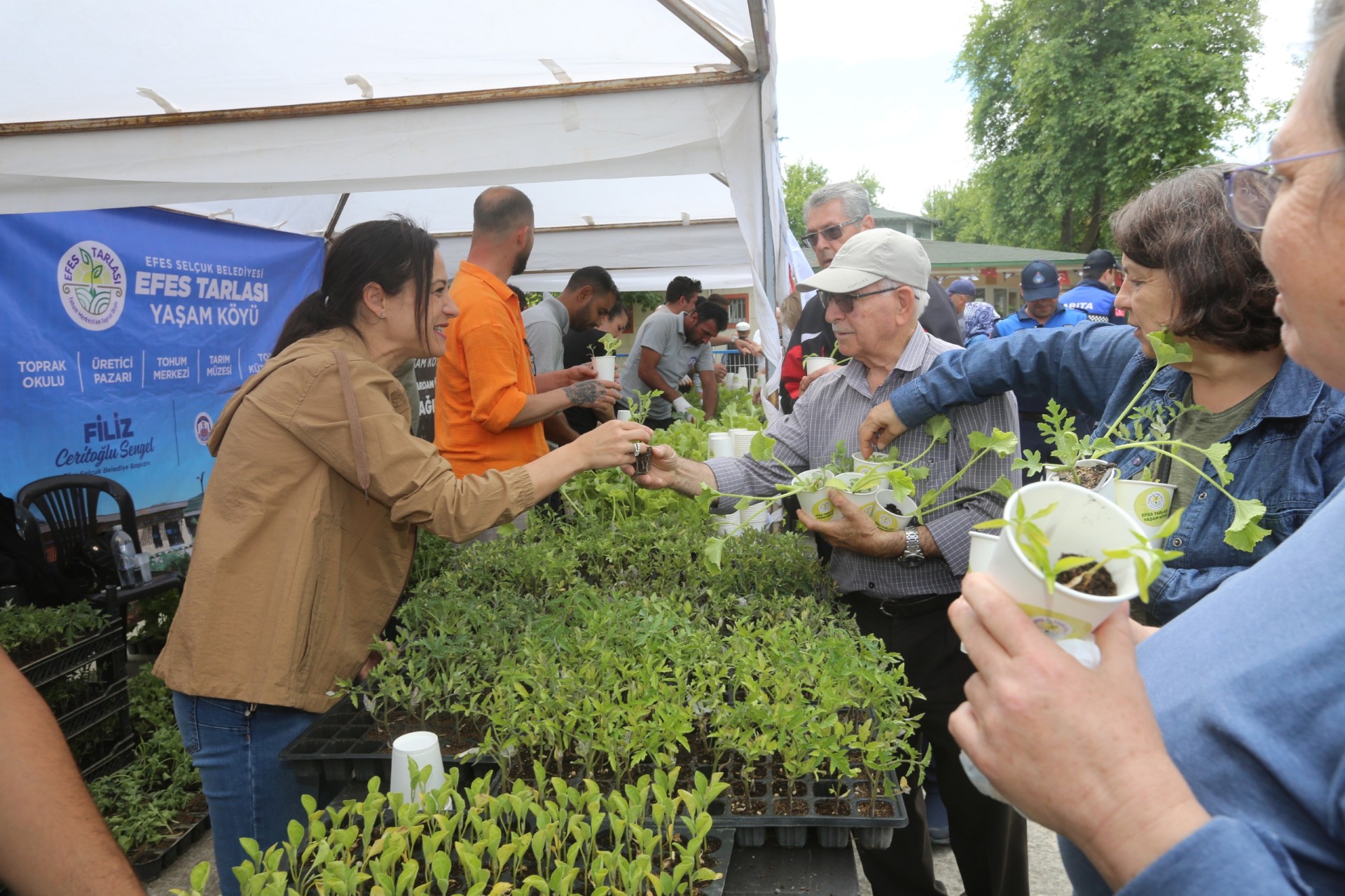EFES SELÇUK BELEDİYESİ ATALIK TOHUMLARDAN ÜRETTİĞİ FİDELERİ HALKLA BULUŞTURDU
