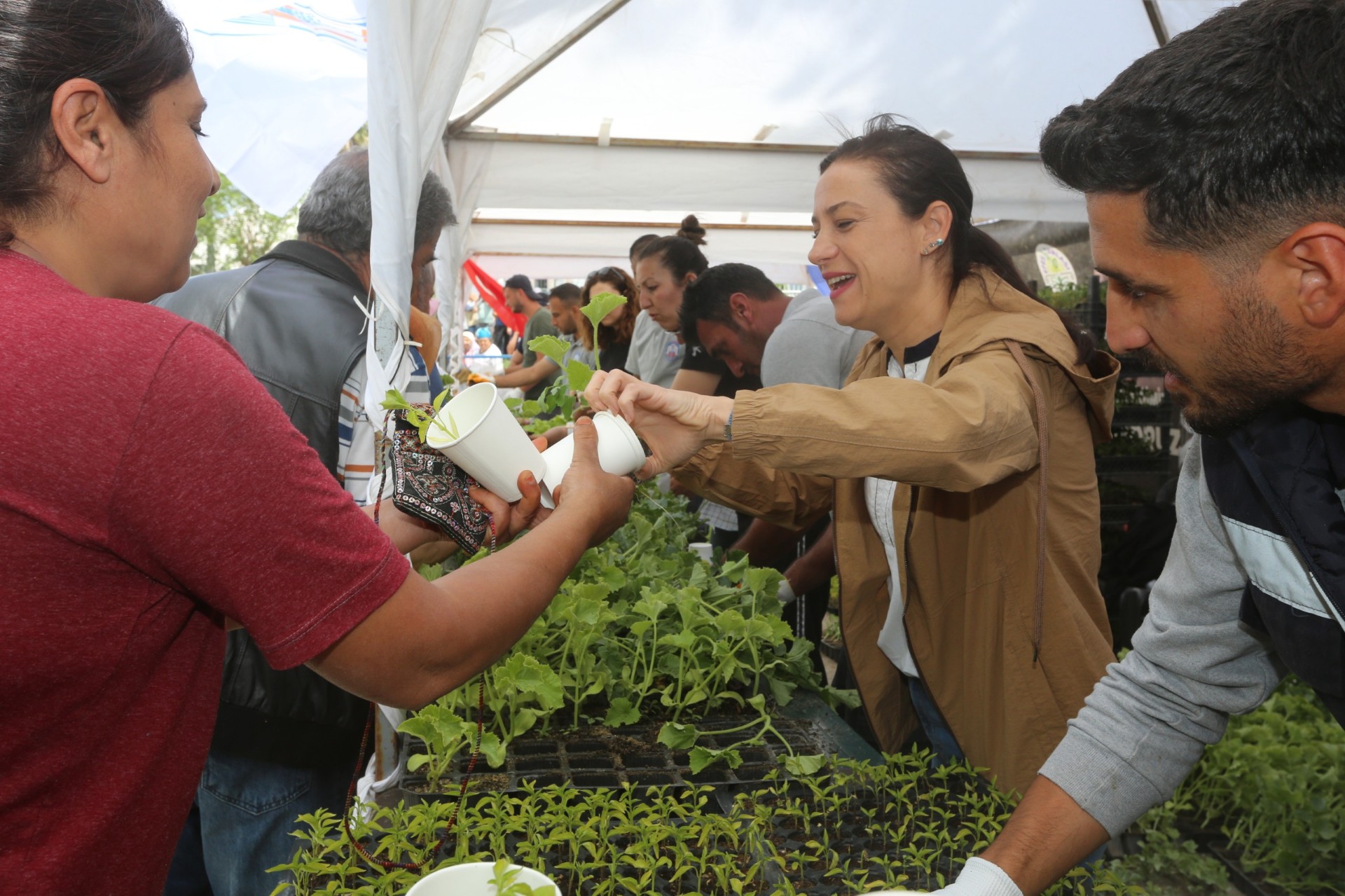 EFES SELÇUK BELEDİYESİ ATALIK TOHUMLARDAN ÜRETTİĞİ FİDELERİ HALKLA BULUŞTURDU