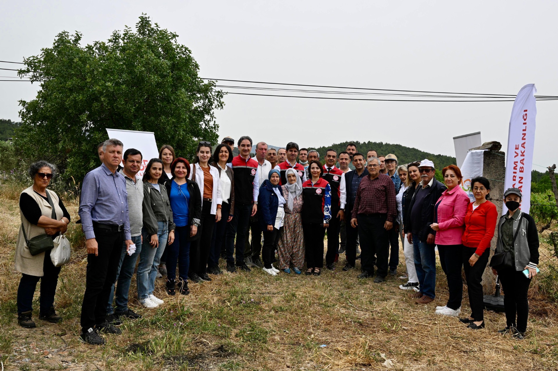 İzmir'de kahverengi kokarca'ya biyolojik savaş açıldı