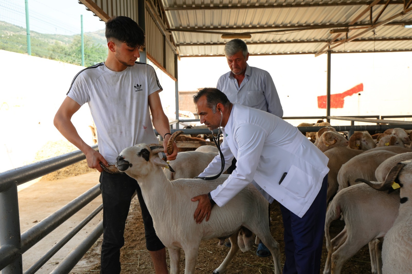 Karşıyaka’nın kurban pazarında hazırlıklar tamam