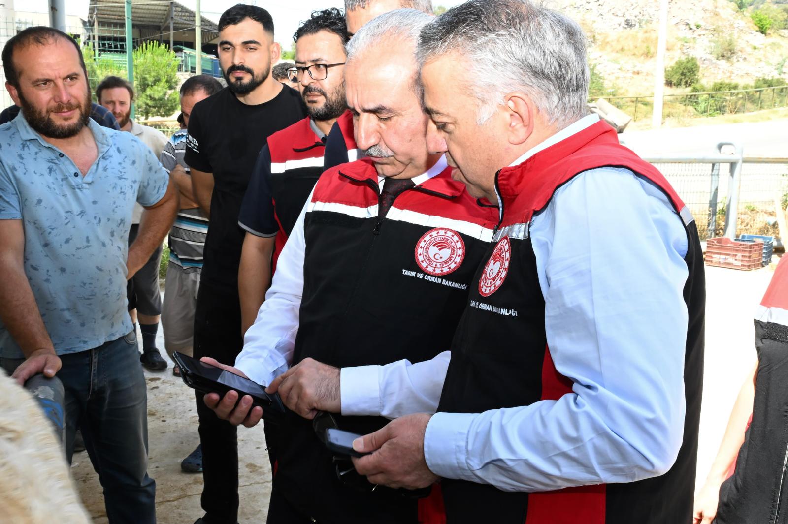 Kurban Bayramına İzmir Hayvan Pazarları Hazır