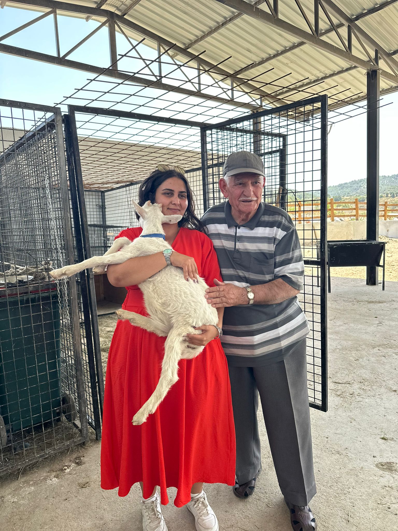 Sahipsiz kediler için anlamlı bağış