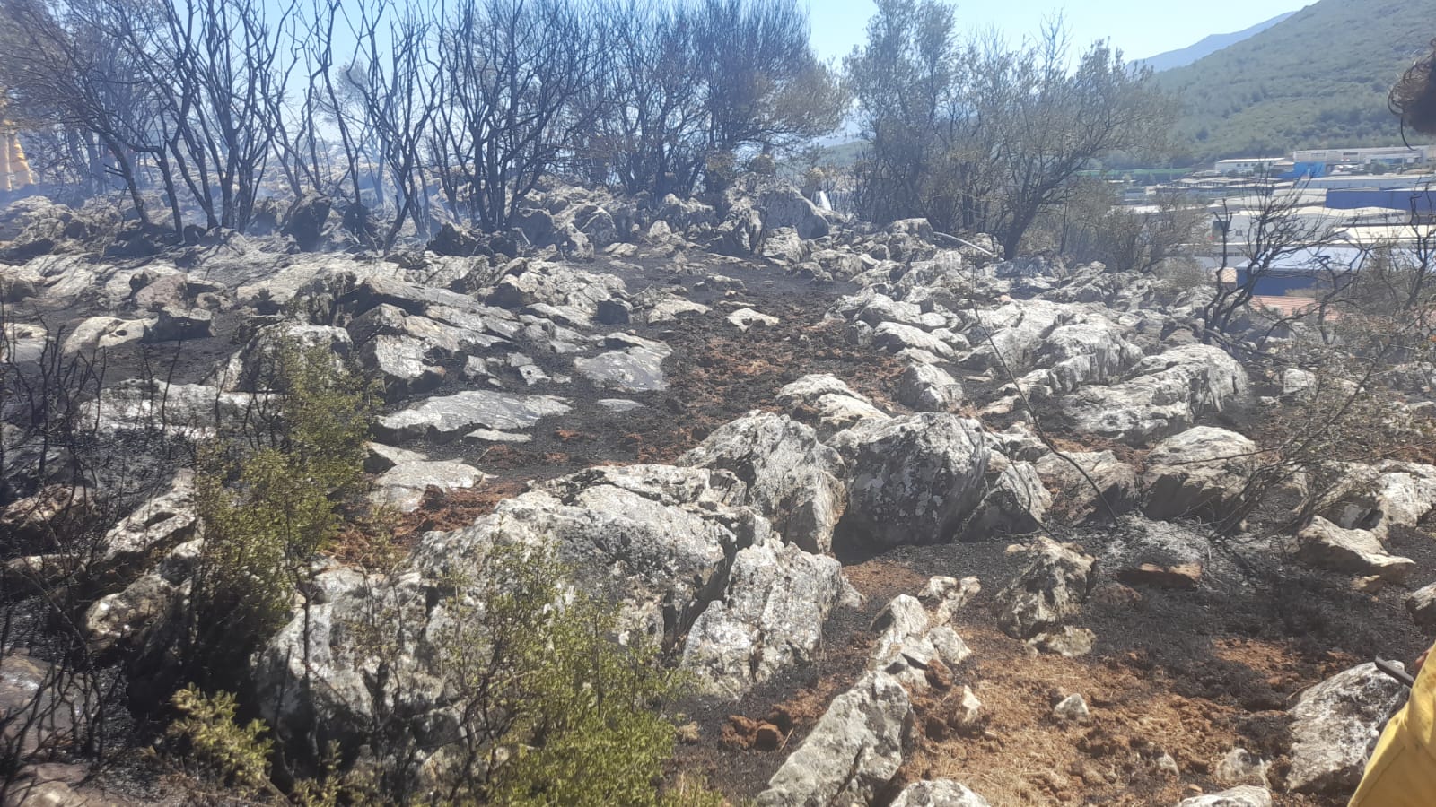 İzmir’de yangın fabrikalara ulaşmadan kontrol altına alındı