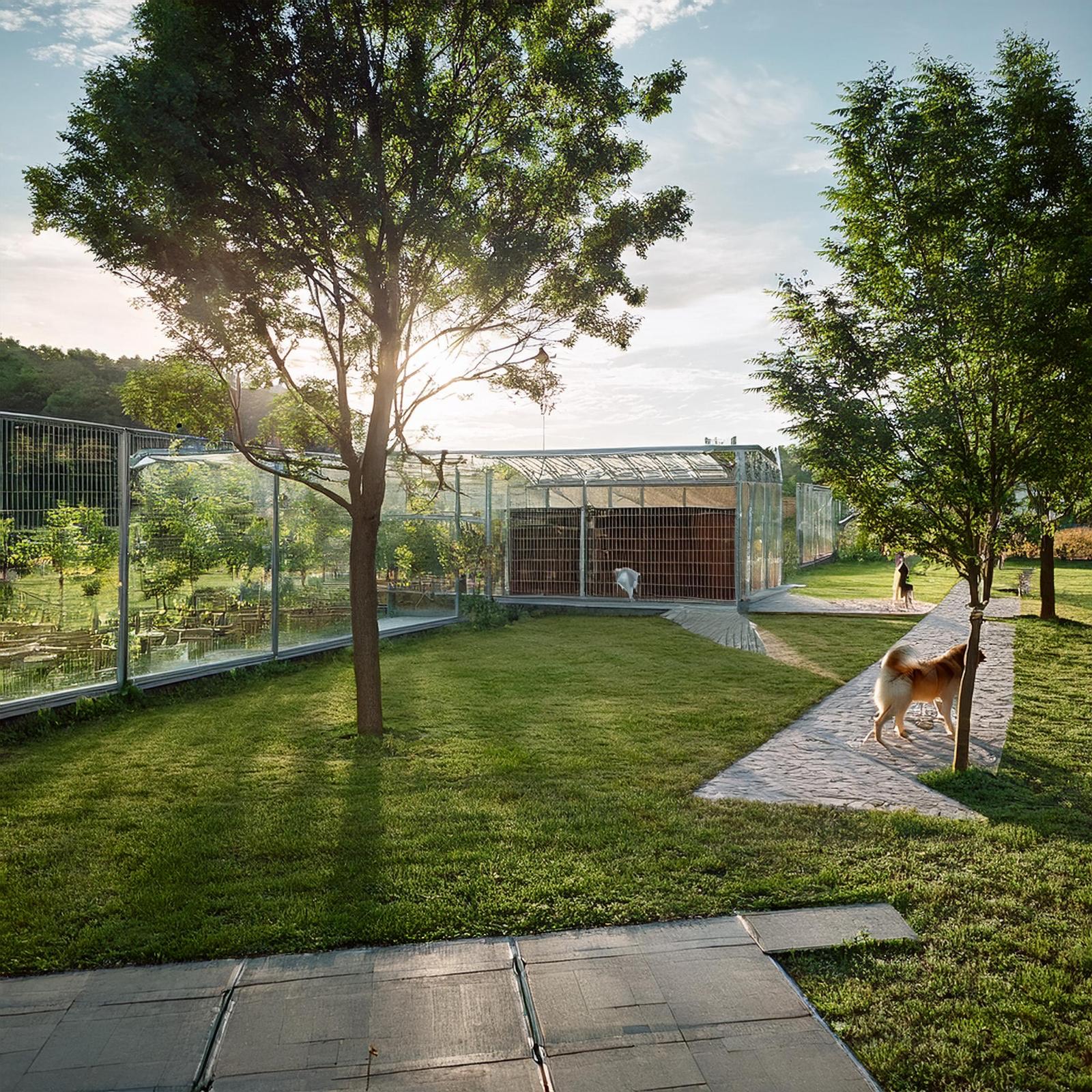 Karşıyaka Belediyesi yeni hayvan barınağı için düğmeye bastı