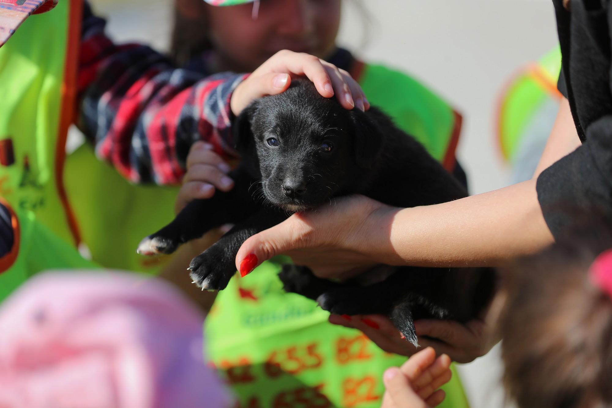Aliağalı Öğrencilerden Pati Park’a Ziyaret