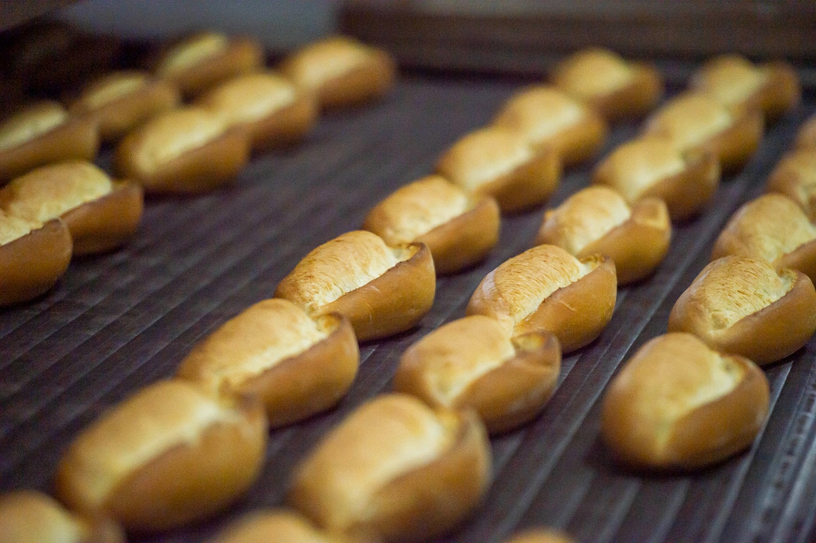 İzmir’de en ucuz ekmek yine Halk Ekmek’ten