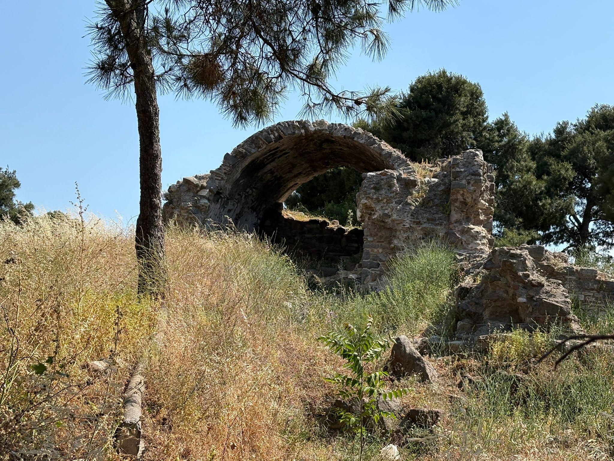 Tarihe Sırt mı Dönüldü? Kadifekale İlgisizlikle Yüz Yüze