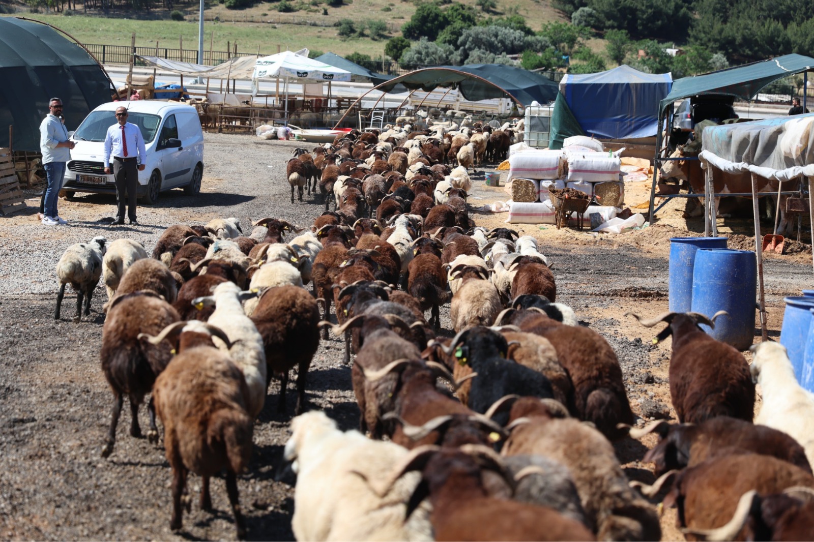 Karabağlar Belediyesi'nden Kurban Bayramı öncesi örnek uygulama