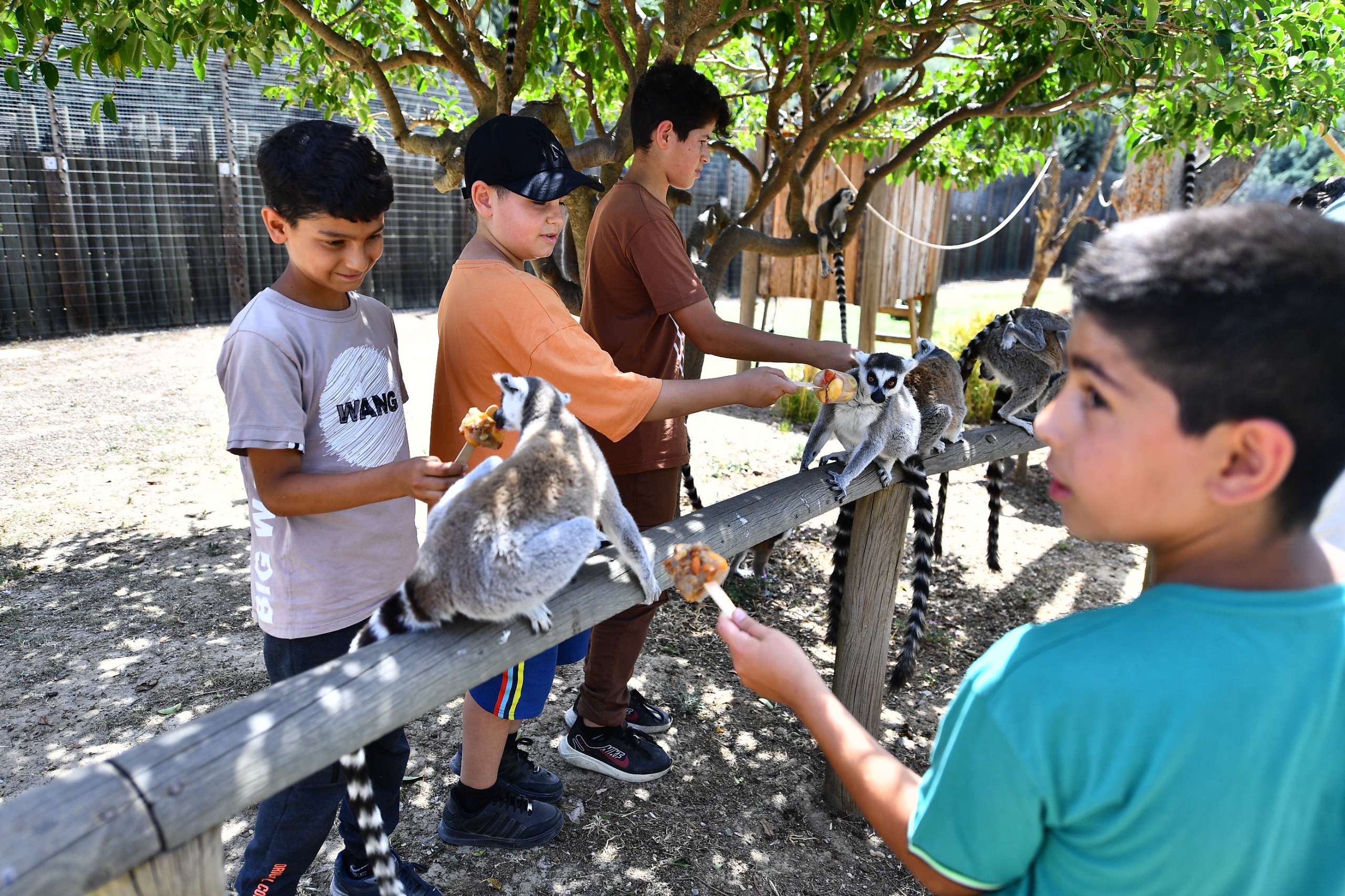 İzmir Doğal Yaşam Parkı bayramda  ziyaretçileri bekliyor