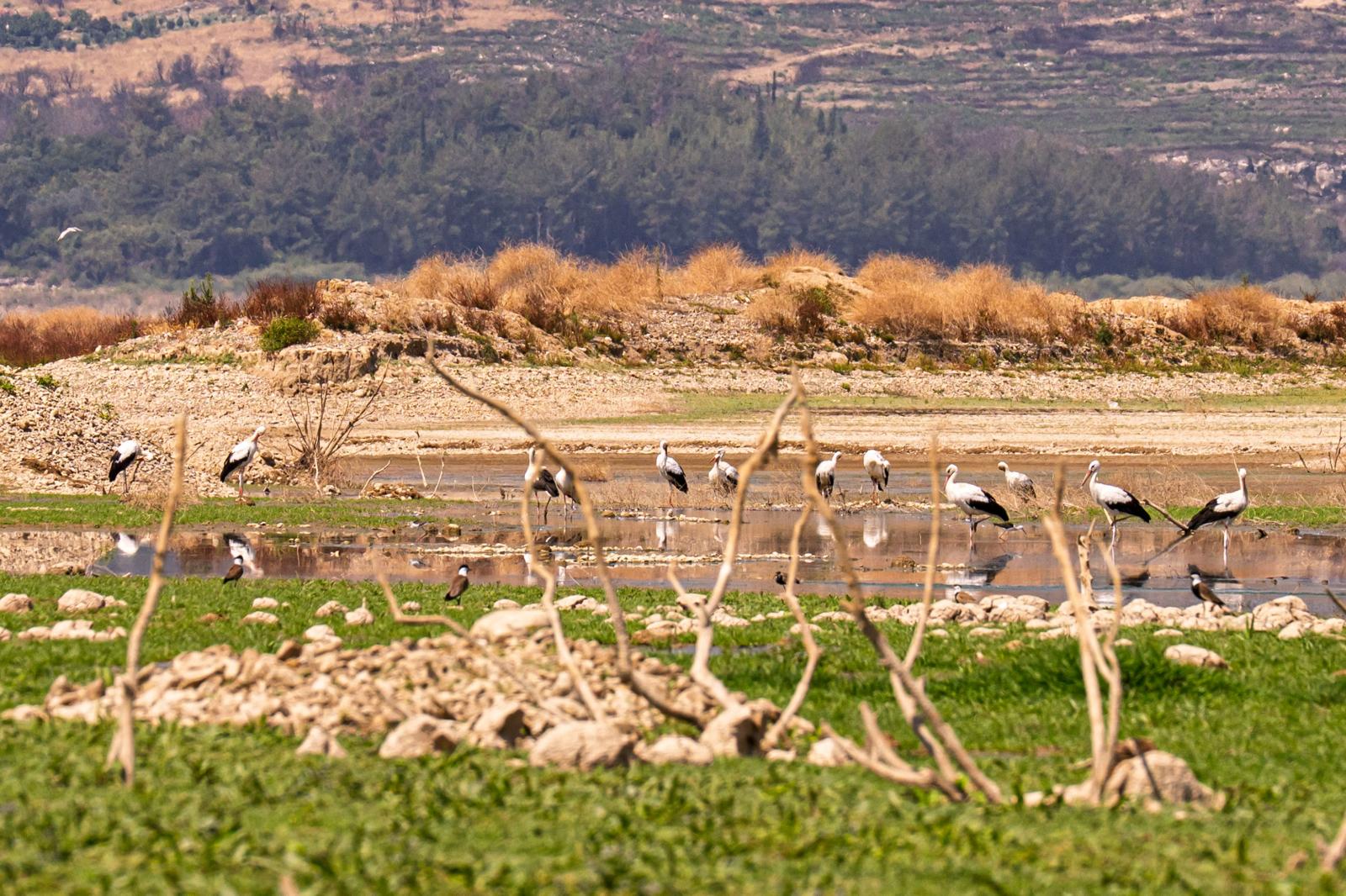 Barajlardaki doluluk oranı kritik seviyede İZSU vatandaşları su tasarrufuna davet ediyor