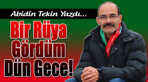 Abidin Tekin yazdı...