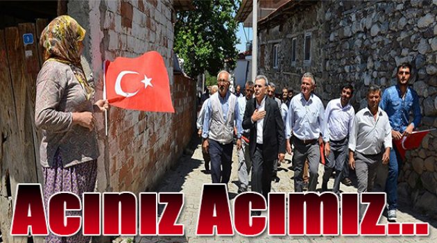 “Acınız acımız”