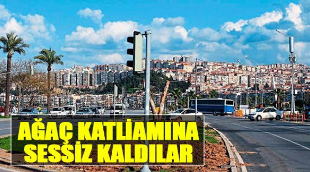 Ağaç Katliamına Tepkisiz Kaldılar