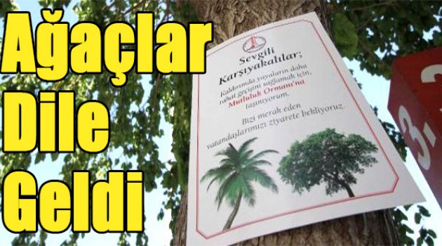 Ağaçlar 'dile geldi'
