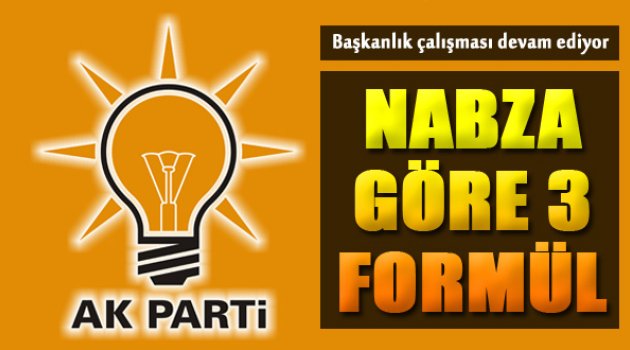 AK Parti'den 3 Başkanlık Formülü