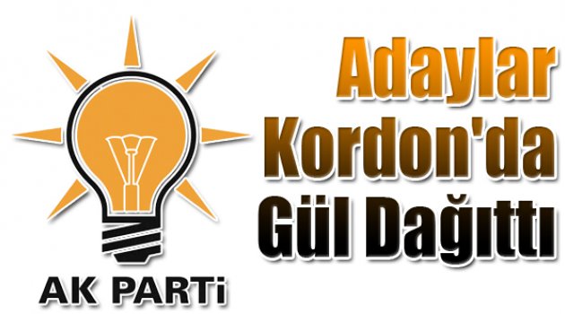 Ak Partili Adaylar Kordon'da Gül Dağıttı