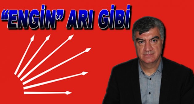 Ali Engin arı gibi!