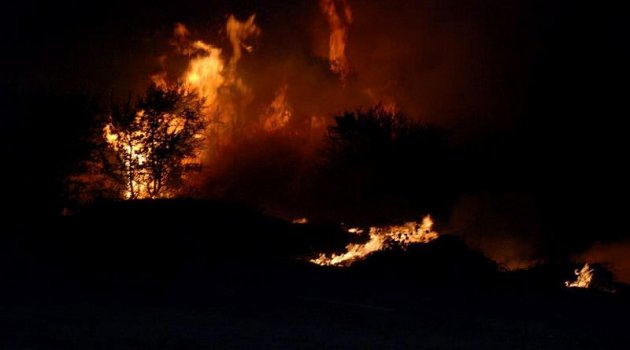 Aliağa'da çıkan yangın 25 hektar alana zarar verdi