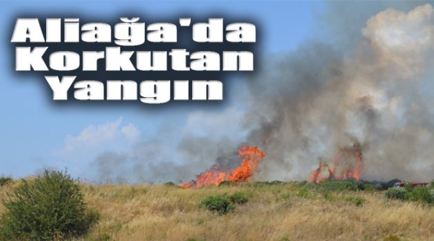 Aliağa'da Korkutan Yangın