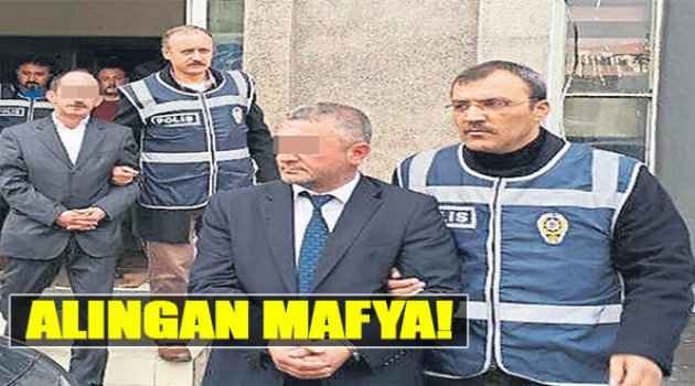 Alıngan Mafya!