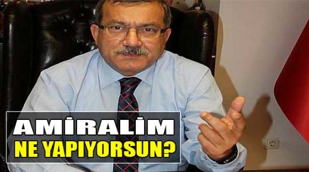 “Amiralim Ne Yapıyorsun?”